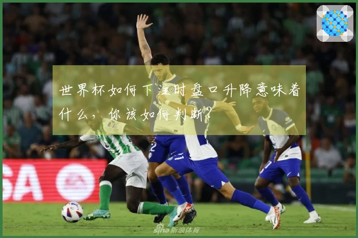 世界杯如何下注时盘口升降意味着什么，你该如何判断？