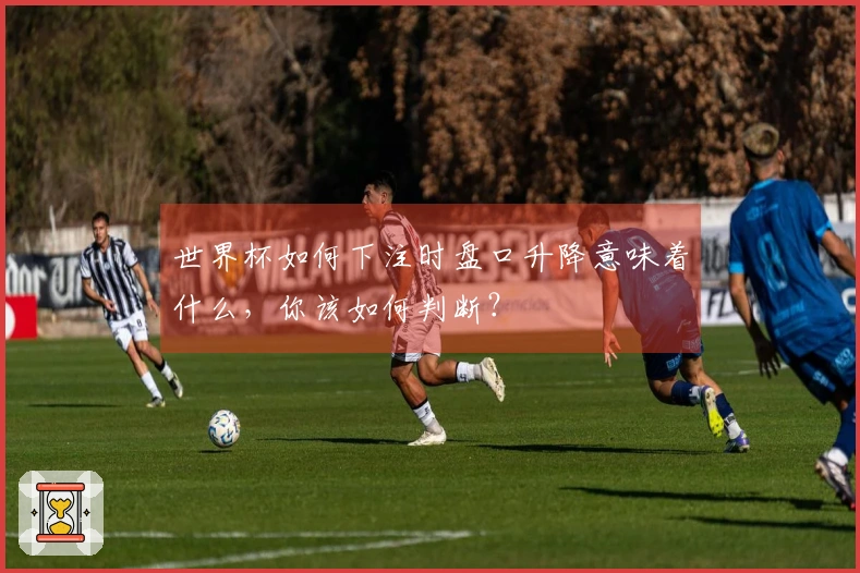 世界杯如何下注时盘口升降意味着什么，你该如何判断？