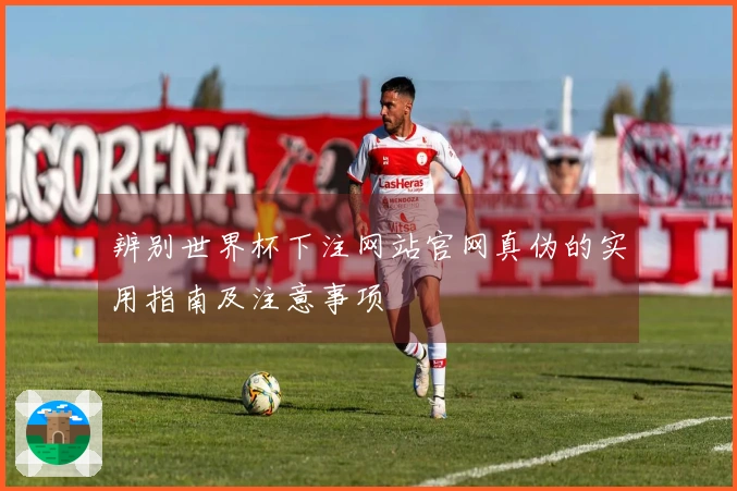 辨别世界杯下注网站官网真伪的实用指南及注意事项