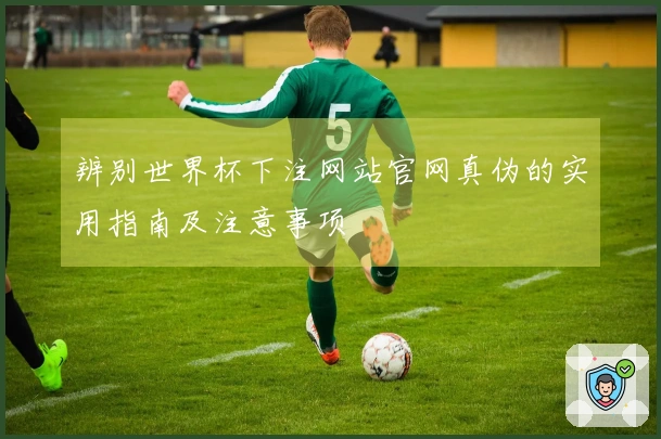 辨别世界杯下注网站官网真伪的实用指南及注意事项
